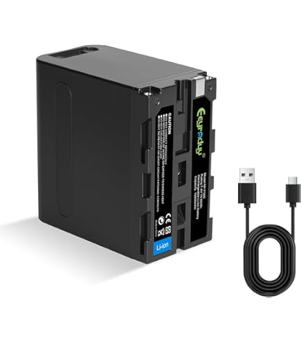 Amazon.com : NP-FV100 NP-FV100(A) High Capacity 'Intelligent